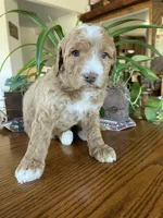 processed/4873c9e9-9334-4650-ac56-0df01970f762/listing/6675e6e5-edaa-43ca-ac3d-a0b8e8a52c5e/de204a7f-533a-48c1-875b-11233c70ca0c