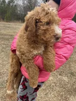 processed/4873c9e9-9334-4650-ac56-0df01970f762/listing/6675e6e5-edaa-43ca-ac3d-a0b8e8a52c5e/eeeb7775-0a10-4096-8509-5f69633af713