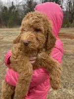 processed/4873c9e9-9334-4650-ac56-0df01970f762/listing/f84e57cb-2147-4698-bfe7-1f1ba949950d/619a6d1c-2231-4ee9-98ff-f17761d44382