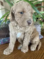 processed/4873c9e9-9334-4650-ac56-0df01970f762/listing/f84e57cb-2147-4698-bfe7-1f1ba949950d/85428ef3-ca14-4897-81a3-7c75373b0bb9