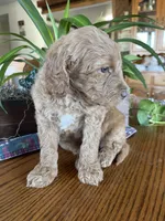 processed/4873c9e9-9334-4650-ac56-0df01970f762/listing/f84e57cb-2147-4698-bfe7-1f1ba949950d/9ad68514-e29b-4185-bc13-b7c61b42e25c