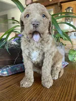 processed/4873c9e9-9334-4650-ac56-0df01970f762/listing/f84e57cb-2147-4698-bfe7-1f1ba949950d/b6b2c74a-ecf8-40f2-a9d5-b6dd643bf526