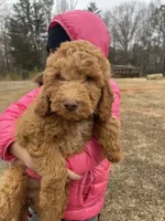 processed/4873c9e9-9334-4650-ac56-0df01970f762/listing/f84e57cb-2147-4698-bfe7-1f1ba949950d/bbee1962-8666-4c2b-8e02-feb545f19f0b