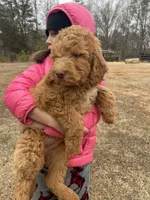 processed/4873c9e9-9334-4650-ac56-0df01970f762/listing/f84e57cb-2147-4698-bfe7-1f1ba949950d/bcd4dd38-618a-4a2a-80ec-aa1ccd9d2b16