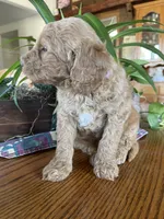 processed/4873c9e9-9334-4650-ac56-0df01970f762/listing/f84e57cb-2147-4698-bfe7-1f1ba949950d/be53718e-1187-4b88-9a8d-75ce3df6c8bb