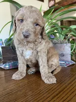 processed/4873c9e9-9334-4650-ac56-0df01970f762/listing/f84e57cb-2147-4698-bfe7-1f1ba949950d/c21094b3-cdcd-4729-a95d-da9d1b1eda73