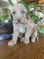 processed/4873c9e9-9334-4650-ac56-0df01970f762/listing/f84e57cb-2147-4698-bfe7-1f1ba949950d/ee6f0418-71ab-458f-915b-21152bd09266