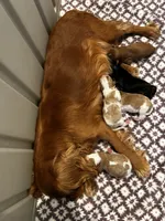 processed/4878abe4-dedf-4d9f-8f69-e0b8125621fc/listing/65e0f452-7d39-4374-8b04-072c3b7c5d8f/3267d373-05a6-4e51-af1b-3d2aaaf0ba52