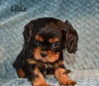 processed/4878abe4-dedf-4d9f-8f69-e0b8125621fc/listing/65e0f452-7d39-4374-8b04-072c3b7c5d8f/b80a738c-e4ec-44fb-9144-6e40dd075289