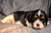 processed/4878abe4-dedf-4d9f-8f69-e0b8125621fc/listing/9fd279f4-844f-47c8-aacd-98415f32204f/e6f9d326-035a-443d-b8aa-ed8c8ae64d3a