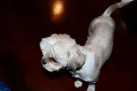 processed/4878e408-397d-4ad5-8ff0-5fa9925694d9/facility/2465542e-dfdc-481d-9dc9-ca565a53b6d8