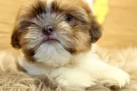 processed/4878e408-397d-4ad5-8ff0-5fa9925694d9/facility/42ff7f44-5913-43bb-886f-df4496485ee8