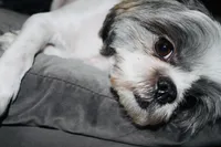 processed/4878e408-397d-4ad5-8ff0-5fa9925694d9/facility/643ff377-4524-413e-bed8-cde176e4a062