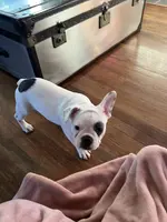 processed/4879c643-bcfc-4778-9191-cb9492c1a029/listing/5c14b041-7990-4bf3-97cc-d8f07d8913e7/07c2c152-d18f-4b0f-934f-268533a2769e