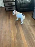 processed/4879c643-bcfc-4778-9191-cb9492c1a029/listing/5c14b041-7990-4bf3-97cc-d8f07d8913e7/3f27b8e4-13c8-4612-9894-24614a101e78