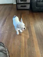 processed/4879c643-bcfc-4778-9191-cb9492c1a029/listing/5c14b041-7990-4bf3-97cc-d8f07d8913e7/443062bb-c40e-4692-ac73-91f75baf8885