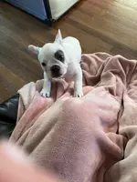 processed/4879c643-bcfc-4778-9191-cb9492c1a029/listing/5c14b041-7990-4bf3-97cc-d8f07d8913e7/53c5f06b-aed9-4248-97b7-4abd563c5cb7