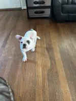 processed/4879c643-bcfc-4778-9191-cb9492c1a029/listing/5c14b041-7990-4bf3-97cc-d8f07d8913e7/6428214c-364a-4b0d-a7e5-ed0f4482e277