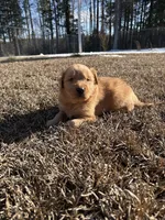 processed/487f7d3d-358f-4bca-9860-938532b40dd7/listing/64feee98-6c69-4760-8519-6673428b45e1/91ad7d99-00cb-4c86-9b69-68331f3c9fa8