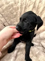 processed/4885dc29-14bf-48e6-bba9-0ad4a8d8e37b/listing/f9ccbd76-6387-4639-ac50-21a744f4315f/03b42b93-97dc-4d2c-8f5e-50d53d454a03