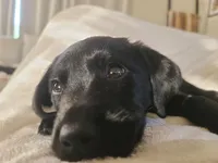 processed/4885dc29-14bf-48e6-bba9-0ad4a8d8e37b/listing/f9ccbd76-6387-4639-ac50-21a744f4315f/42952402-855d-4e39-92c5-69294d2b18f1