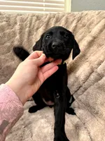 processed/4885dc29-14bf-48e6-bba9-0ad4a8d8e37b/listing/f9ccbd76-6387-4639-ac50-21a744f4315f/4ff2e7ad-74a8-4bff-9a9c-8778c64fb41d