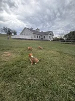 Facility photo