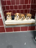 Facility photo