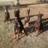 processed/4895ee75-a623-48e9-ba37-324e66089b96/facility/53395a06-ee98-4552-8b0e-db2ce9477aea