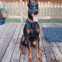 processed/4895ee75-a623-48e9-ba37-324e66089b96/facility/d781e15c-4a54-4e15-9f99-20c16e98e54a