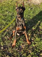 processed/4895ee75-a623-48e9-ba37-324e66089b96/listing/7997ab88-5970-4550-989b-03cc73971128/0e4d4747-d369-4534-ba0c-52dfb88916ed