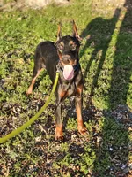 processed/4895ee75-a623-48e9-ba37-324e66089b96/listing/7997ab88-5970-4550-989b-03cc73971128/122d2004-b29a-40fa-ac90-3a79c39f4f6d