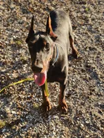 processed/4895ee75-a623-48e9-ba37-324e66089b96/listing/7997ab88-5970-4550-989b-03cc73971128/38b0a4dc-5d60-4b99-be77-d64db9de1127