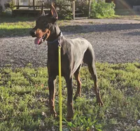 processed/4895ee75-a623-48e9-ba37-324e66089b96/listing/7997ab88-5970-4550-989b-03cc73971128/854e9d13-fd2b-4ba8-b55d-e03f4d559269