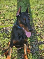 processed/4895ee75-a623-48e9-ba37-324e66089b96/listing/7997ab88-5970-4550-989b-03cc73971128/99136bfd-2e6a-430e-87fb-4984f19e82b6