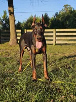 processed/4895ee75-a623-48e9-ba37-324e66089b96/listing/7997ab88-5970-4550-989b-03cc73971128/c083acc1-82ea-4f6a-9672-ff8604a51c2d