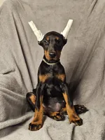 processed/4895ee75-a623-48e9-ba37-324e66089b96/listing/7f61dcd9-2094-4bd7-9f90-14b9600c1947/05e44e06-984e-4ac3-b204-e0aa5f6708db