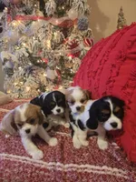 processed/489c84a6-1035-479c-8964-c6eea75a9588/facility/1938c37d-a5f3-4d2b-b7d4-8768b09c8311