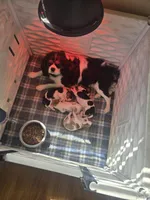 processed/489c84a6-1035-479c-8964-c6eea75a9588/facility/6044c4ad-3b2e-434d-9398-9bcd3882d0ae