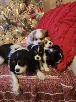 processed/489c84a6-1035-479c-8964-c6eea75a9588/facility/6119c9d2-7174-496c-81e7-a1318b5f95a7