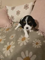 processed/489c84a6-1035-479c-8964-c6eea75a9588/facility/710761ef-f7ea-449c-88ee-7832c011c17f