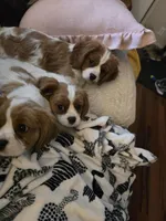 processed/489c84a6-1035-479c-8964-c6eea75a9588/facility/753cc0d0-af2e-4bdf-88fb-b0e567b90576