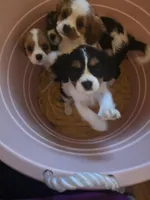 processed/489c84a6-1035-479c-8964-c6eea75a9588/facility/94505bf6-9cf8-45c8-afe4-c60c28255382