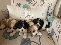 processed/489c84a6-1035-479c-8964-c6eea75a9588/facility/c454ee5b-06d2-4b13-b157-be3cc82bb3f6