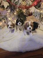 processed/489c84a6-1035-479c-8964-c6eea75a9588/facility/ccc54768-b0b4-45b4-b75e-4d30b8171645