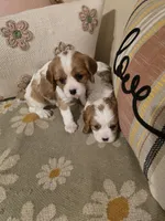 processed/489c84a6-1035-479c-8964-c6eea75a9588/facility/e3ba47b7-4845-486f-8560-e678d46060e3