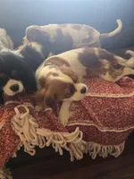 processed/489c84a6-1035-479c-8964-c6eea75a9588/facility/f62f3f5e-594b-433e-aaf6-51a3ebc7a3aa