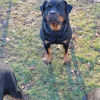 processed/48a287cc-d1f0-4b44-9075-b895ae7394fd/facility/37f5407d-fd11-4985-a2e2-8143851b219b