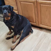 processed/48a287cc-d1f0-4b44-9075-b895ae7394fd/facility/661c24c5-4f57-43d6-930b-92319e2c2370