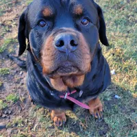 processed/48a287cc-d1f0-4b44-9075-b895ae7394fd/facility/796916f7-d0a8-4d70-83ca-4f0a27355473